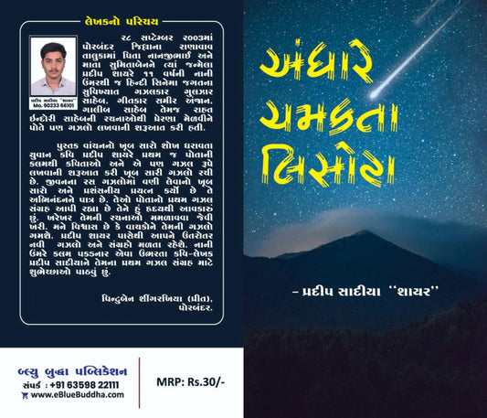 અંધારે ચમકતા લિસોટા - Blue Buddha Publication
