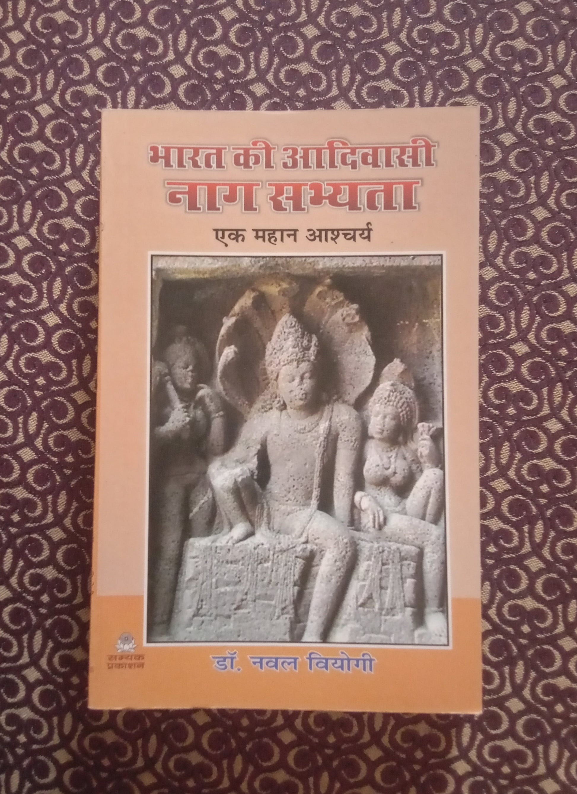 भारत की आदिवासी नाग सभ्यता एक महान आश्चर्य - Blue Buddha Publication